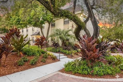A garden with a white pathway and a variety of plants. at The Flats at Seminole Heights, Tampa, FL