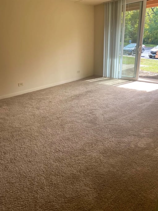 Classic  Home Living Room at Woodland Ridge Apartments in Woodridge, IL