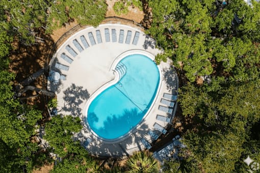 A heart-shaped pool surrounded by trees.