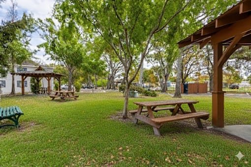 Picnic Area at Fernwood Grove Apartments, Tampa, FL