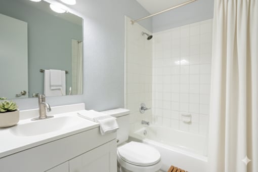 A white bathroom with a toilet, sink, and shower.at Fernwood Grove Apartments, Tampa, 33614