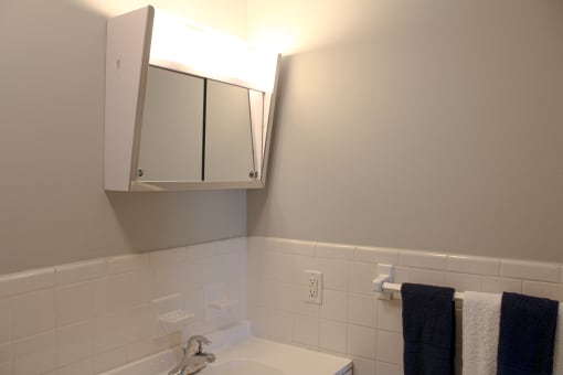 a small bathroom with a sink and a mirror at Willowbrooke Apartments, Brockport, NY