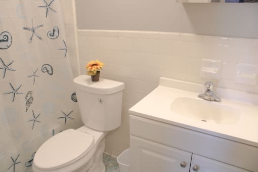 a bathroom with a toilet and a sink and a shower curtain at Willowbrooke Apartments, Brockport, New York