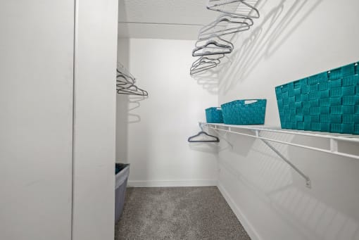 Bedroom Closet at Woodland Ridge Apartments in Woodridge, IL