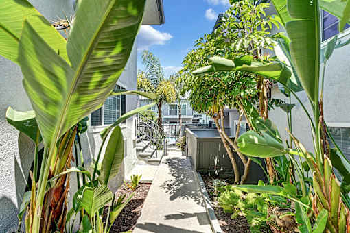 A small garden with a concrete pathway and a metal railing.