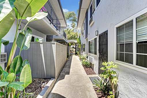 A concrete pathway leads between two rows of plants and a white building with black screen doors.