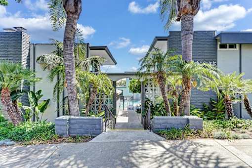 Front entrance of the apartments surrounded by palm trees.