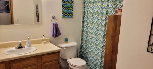 a bathroom with a sink and a toilet and a shower
