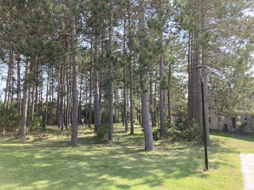 a large grassy area with trees in the background