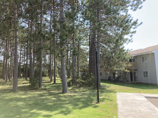 a large yard with trees and a house in the background
