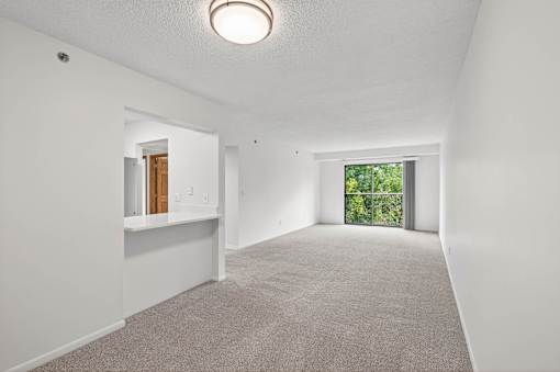 A spacious room with a carpeted floor and a window leading to a green outdoor area.