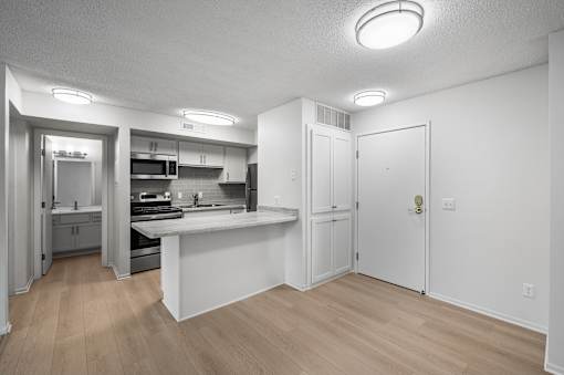 Renovated Unit Kitchen