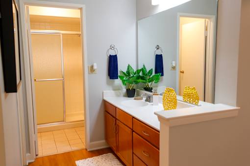 A bathroom with a sink, mirror, and a plant.
