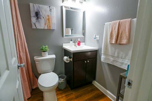 a bathroom with a toilet and a sink and a mirror