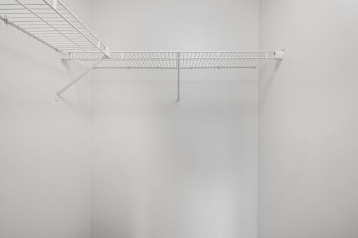 Renovated Unit Bedroom Closet