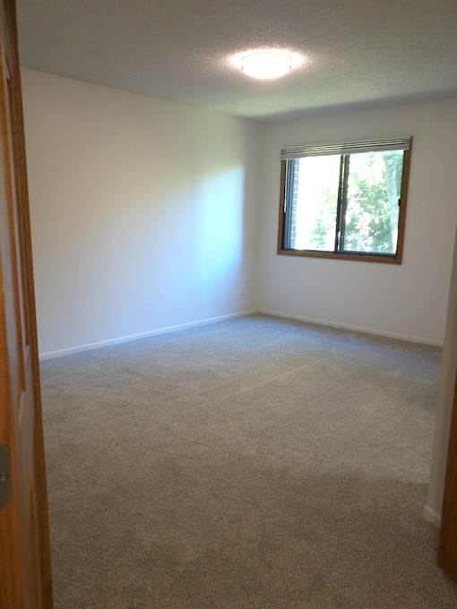 A room with a carpeted floor and a window.