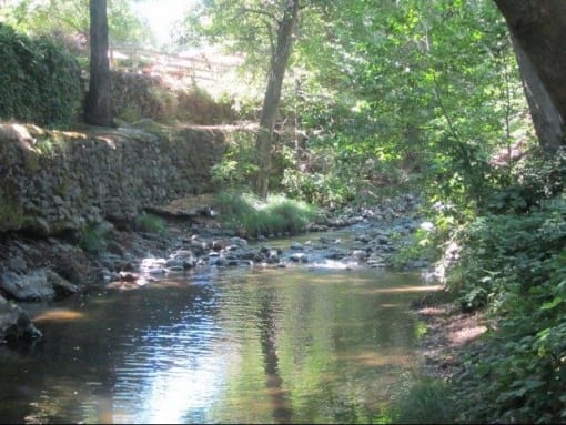 nature
