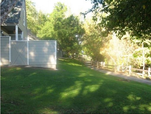 outdoor grassy area