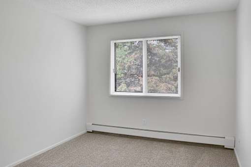 A window with a view of trees and a house.
