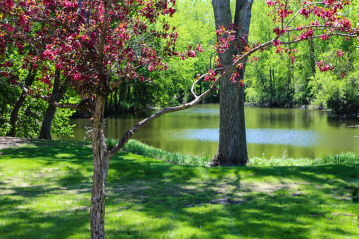 nature