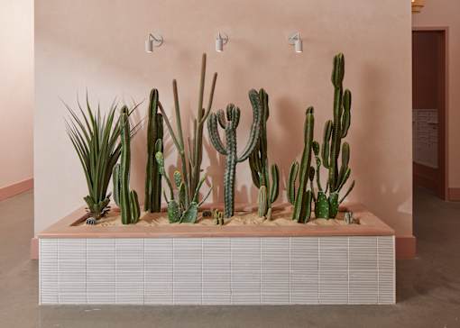 Cactus garden at Iron Rose Apartments, Philadelphia, Pennsylvania