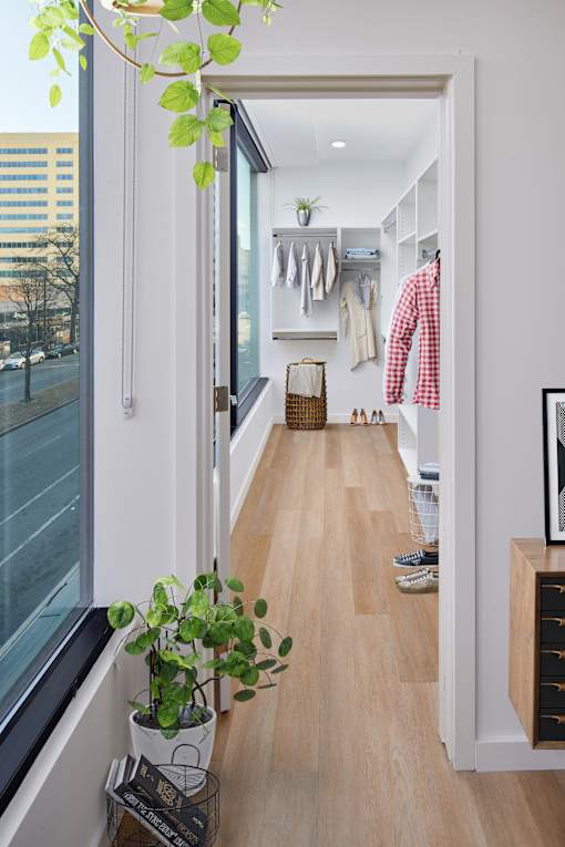 A hallway with a potted plant on the left and a coat hanging up on the right.