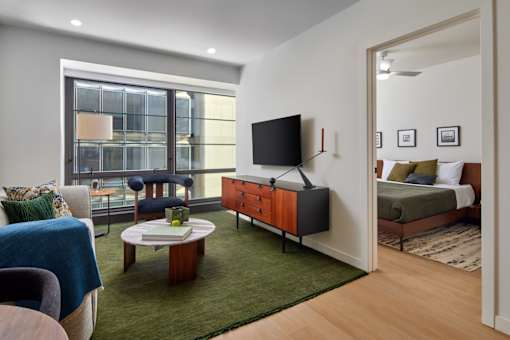A living room with a flat screen TV and a green rug.