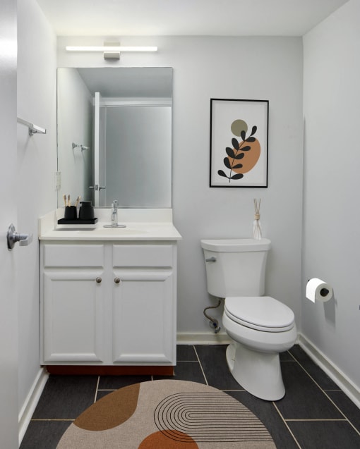 a bathroom with a toilet and a sink and a mirror