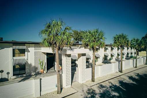A row of white buildings with palm trees in front at The PARKER on E Mulberry Apartments, San Antonio, TX