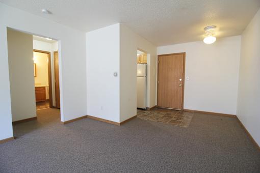 A room with a carpeted floor and a brown door.