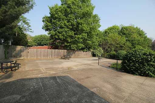 A backyard with a picnic table and a trampoline.