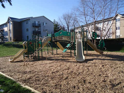 a playground with a slide and monkey bars