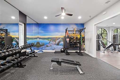 a home gym with a wall mural and weights and cardio equipment