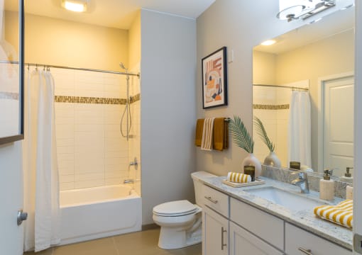 a bathroom with a white toilet next to a bathtub with a shower curtain  at Elmhurst 255, Illinois