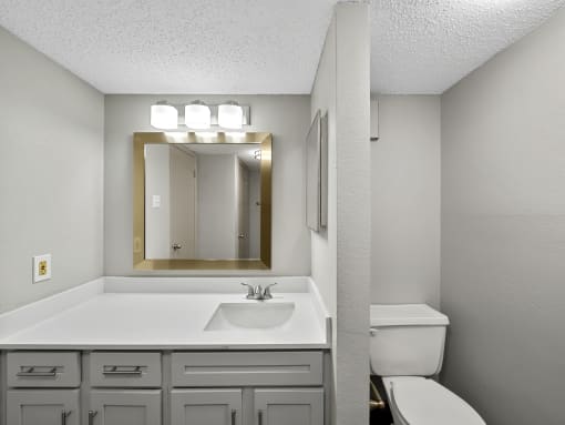 a bathroom with a sink toilet and mirror