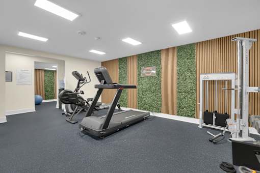 A gym with treadmills, weights, and exercise balls.