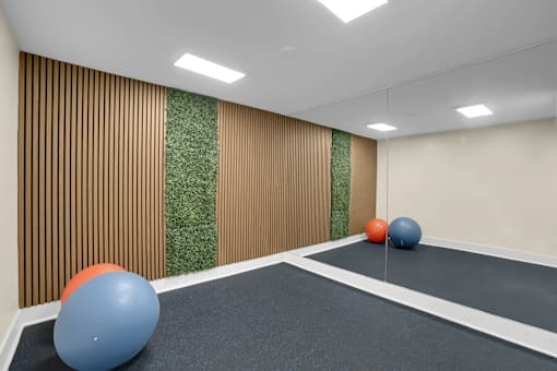A room with a green carpet and a wall with a green plant on it.