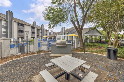 a picnic area with a picnic table and a grill