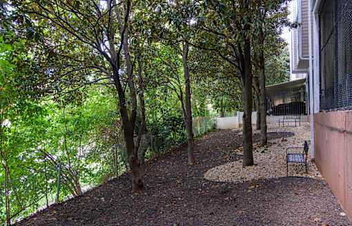 A tree-lined path with a bench on the right side.