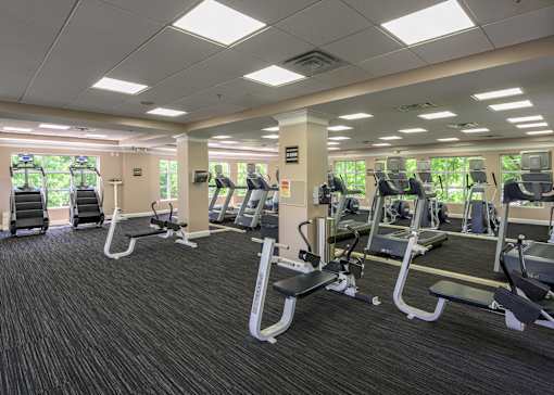 A gym with treadmills, elliptical machines, and other cardio equipment.