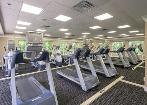 A gym with treadmills and elliptical machines.