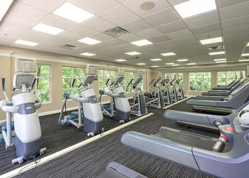 A gym with treadmills and elliptical machines.