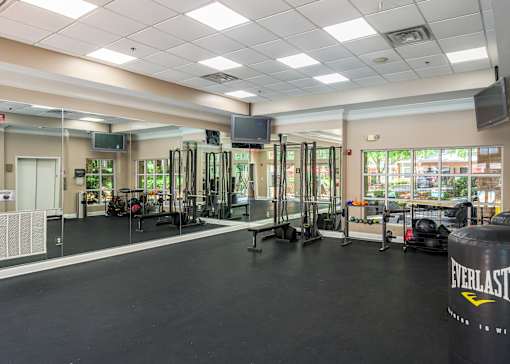 A gym with a variety of equipment including a squat rack, a bench, and a weightlifting platform.