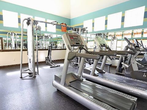 A gym with treadmills, elliptical machines and other exercise equipment.