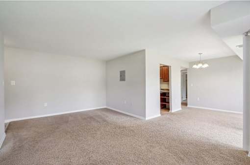 A large, empty room with a carpeted floor and white walls.