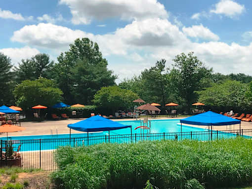 A pool surrounded by trees and umbrellas.