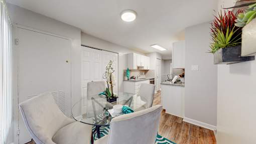 A white chair is in front of a glass table with a plant on it.