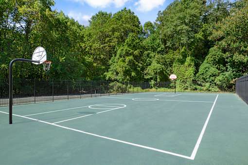 A basketball court surrounded by trees.