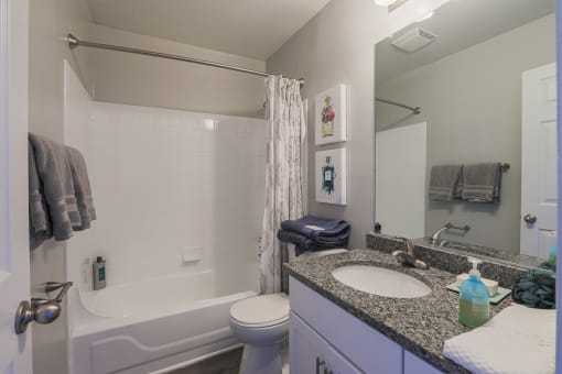 a bathroom with a sink and a shower and a toilet