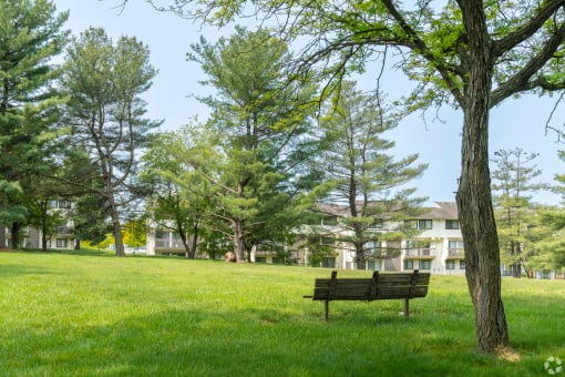 a park bench sitting in the grass next to a tree